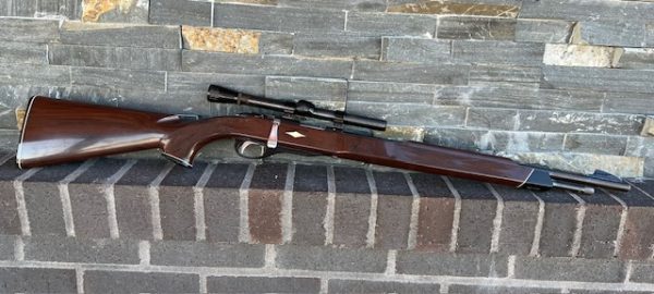 USED Remington Nylon 12 22 S/L/LR - Image 4